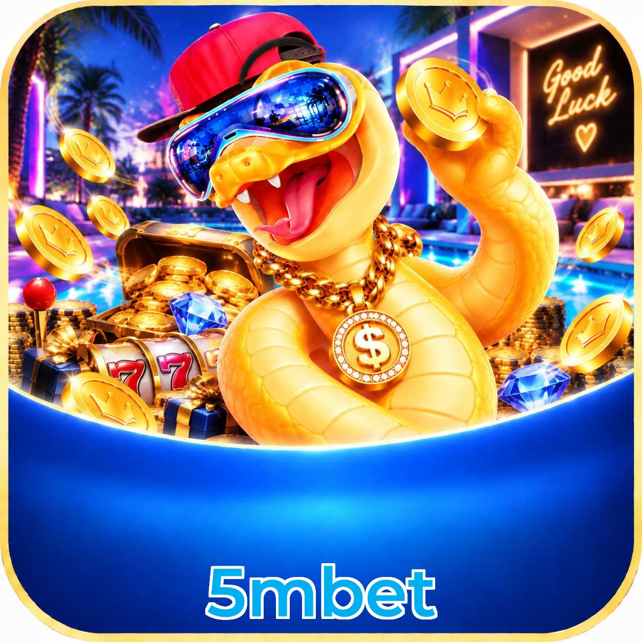 5mbet Live Casino Overview